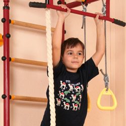 Упражнения для детей на шведской стенке