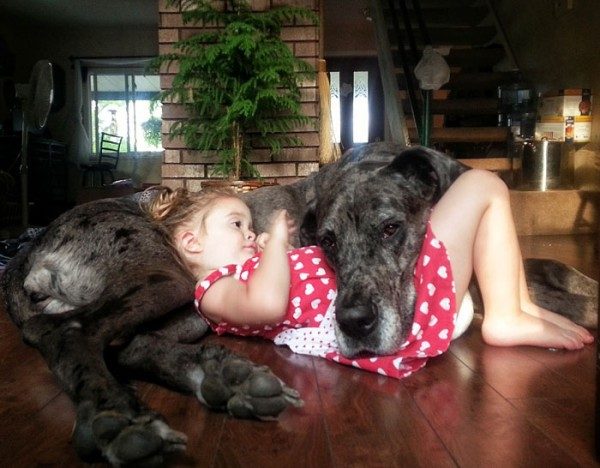 Как дружат дети и собаки