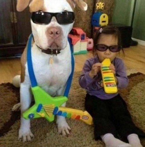 Забавные собаки, копирующие детей