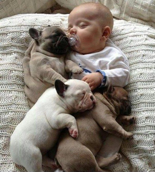Забавные фото малышей, спящих со своими питомцами