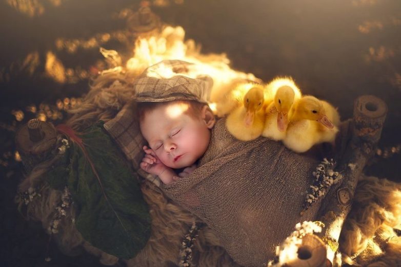 15 умилительных фото спящих малышей и детёнышей животных
