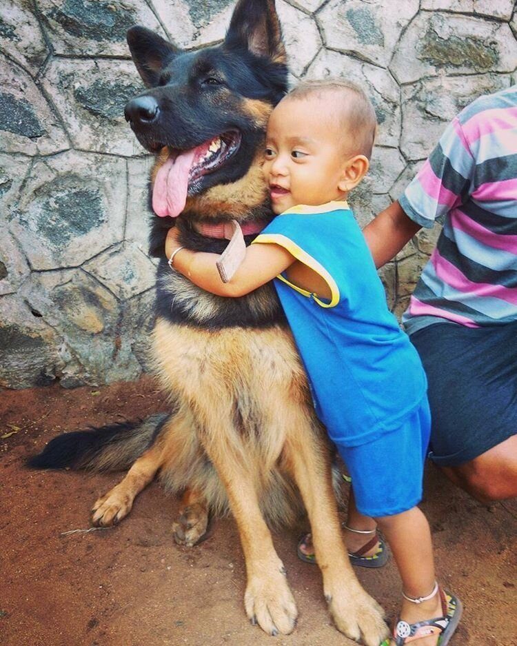 21 милое свидетельство того, что каждому ребенку нужна собака!