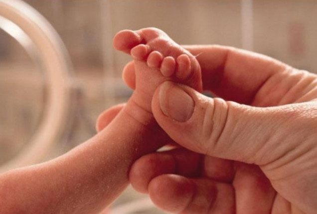 У близнецов, зачатых с помощью ЭКО в 4 раза выше риск врожденного порока сердца