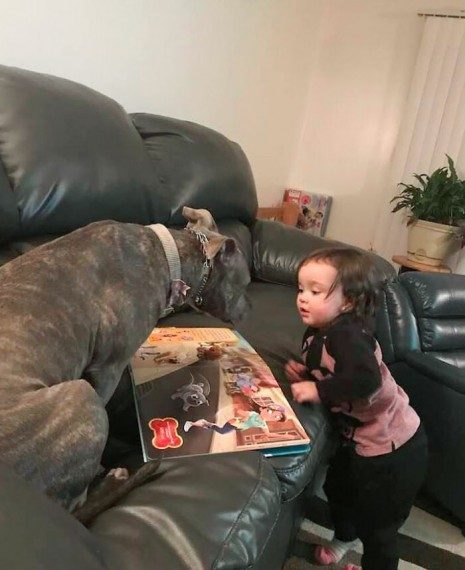 Крепкая дружба детей и собак