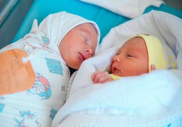 Как рассчитывается материнский капитал при рождении двойни?