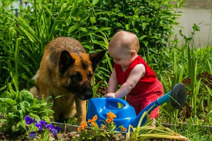 Дети и собаки - лучшие друзья!