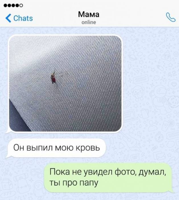 Забавные переписки с родителями