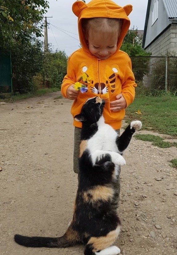 Дети и животные просто созданы друг для друга!