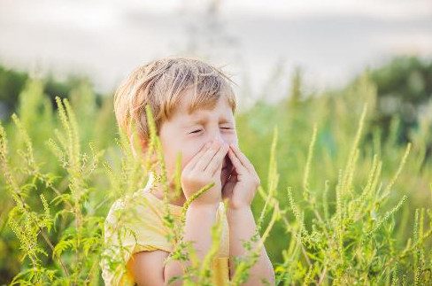 6 мифов об аллергии у детей