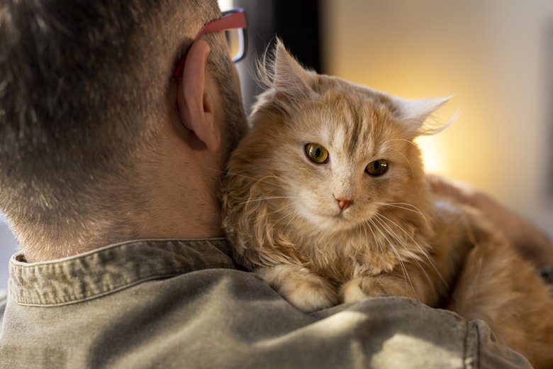 Признаки людей, которых не любили в детстве