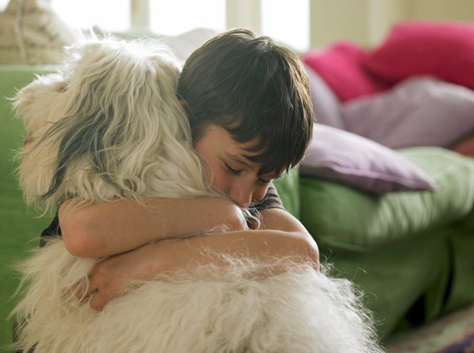 Чем опасна дружба между детьми и домашними животными