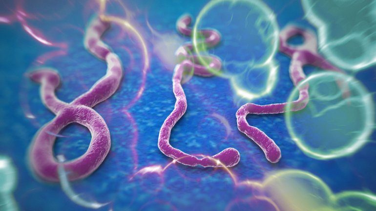 10 самых опасных болезней в истории, с которыми человечество сталкивалось до коронавируса
