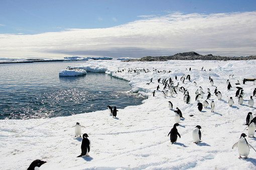 Великое плавание: из истории открытия Антарктиды