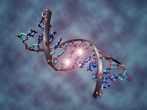 Чего мы еще не знаем о ДНК