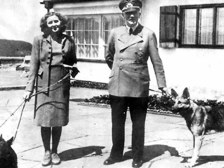 Как нацисты учили собак читать, писать и говорить