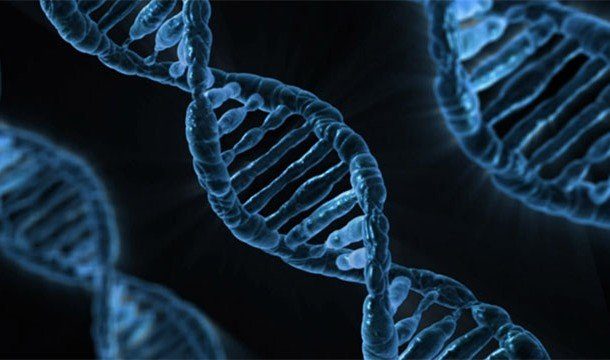 Чтобы больше узнать о себе: факты про ДНК