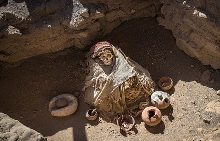 Шокирующие находки, обнаруженные внутри мумий