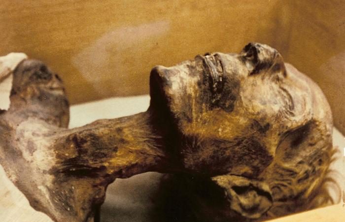 Шокирующие находки, обнаруженные внутри мумий