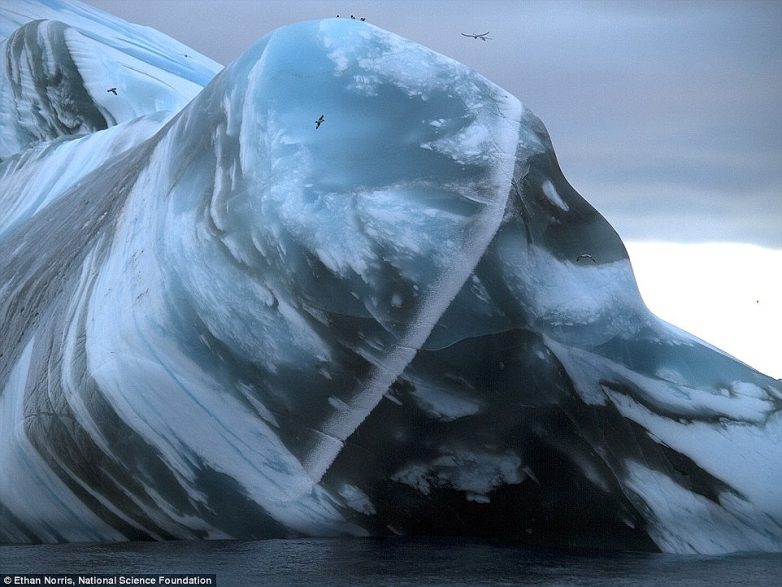 Древний лёд: как выглядят самые старые в мире айсберги