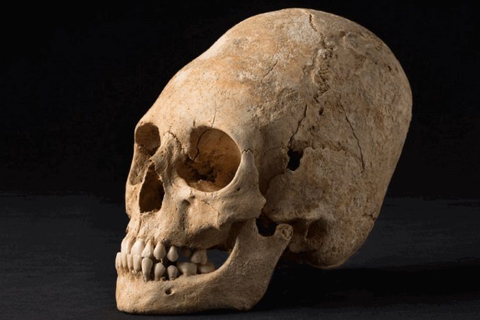 Как доисторические люди уродовали себя ради красоты