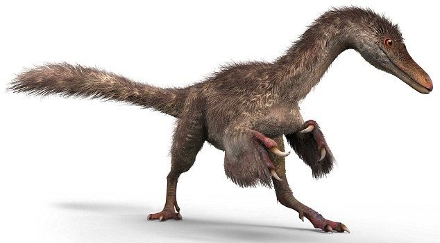 Ученые нашли перья динозавра