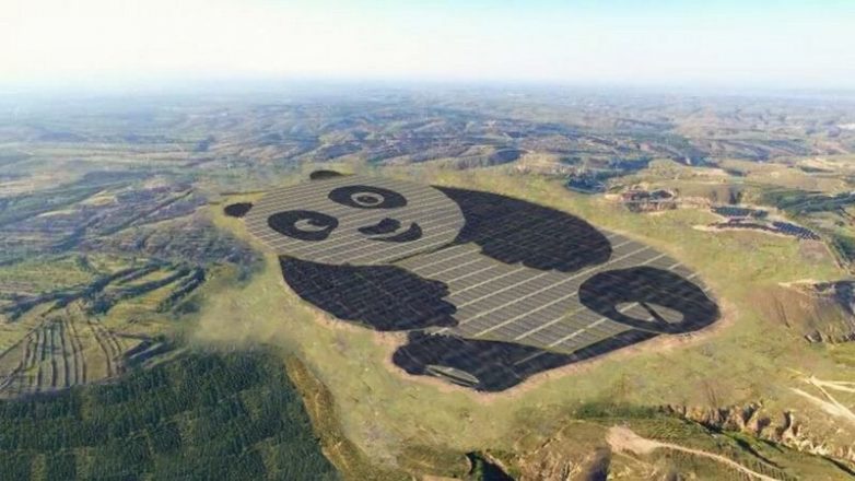 Культ бамбукового медведя: в Китае заработает электростанция-панда!