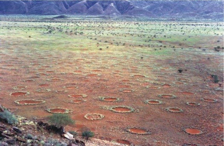 Рука пришельца и ещё 10 таинственных находок в пустыне