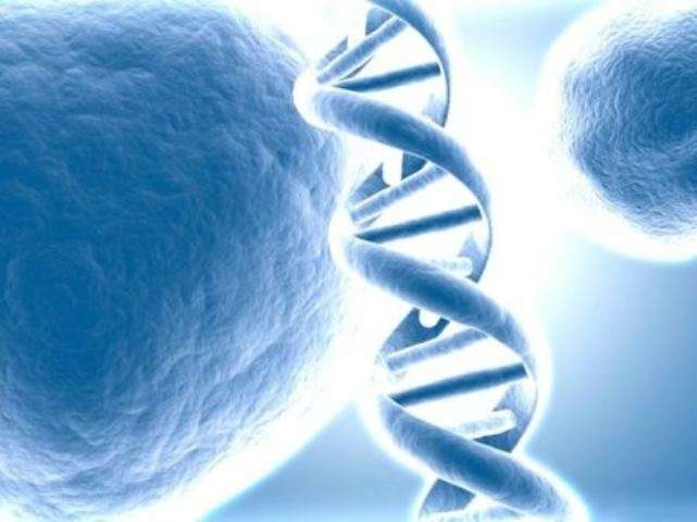 Занимательные факты о генетике и наследственности