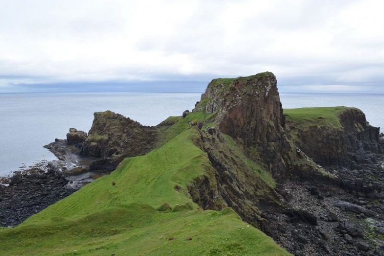 Территорию Шотландии когда-то топтали крупнейшие в мире динозавры