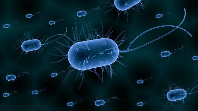 Страшные бактерии, которые научились помнить