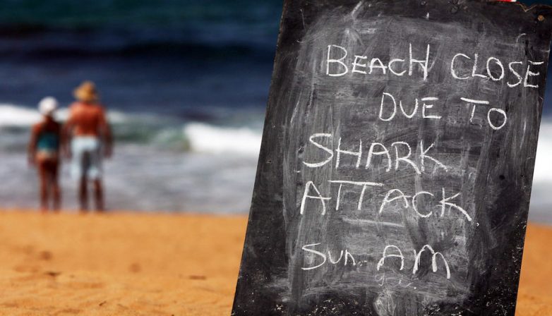 Подборка малоизвестных фактов об акулах
