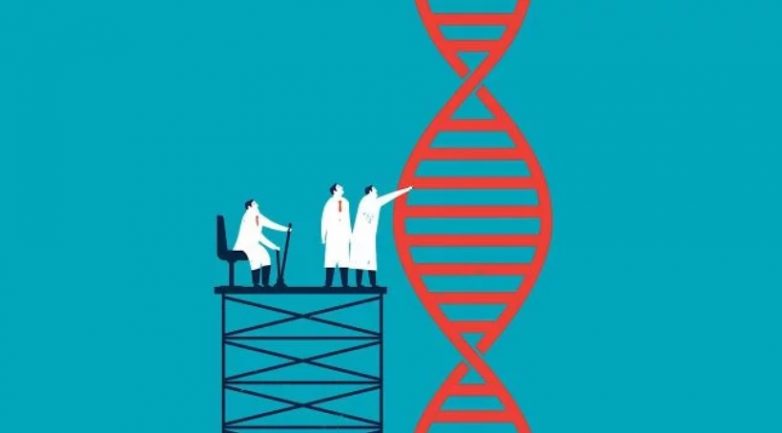 Учёные пересчитали человеческие гены, и результат их удивил