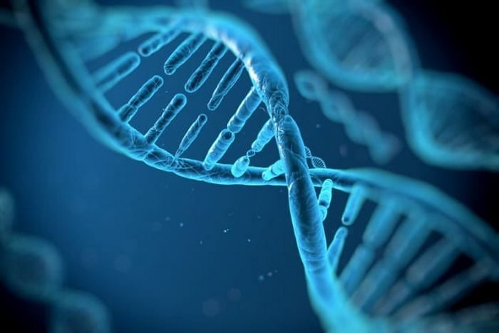 10 научных открытий, которые позволил совершить анализ древних ДНК