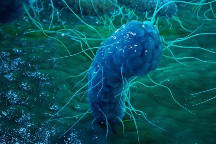 Подземные микробы практически научились жить вечно