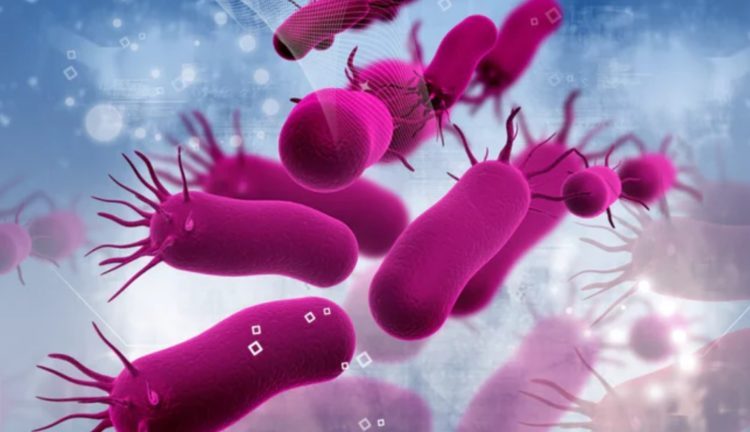 Учёные открыли новое состояние бактерий, которые могут пребывать в режиме зомби