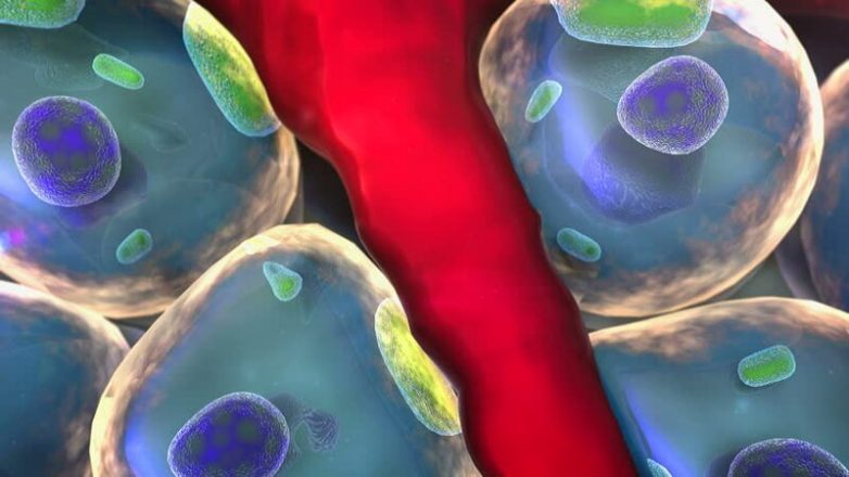 Учёные нашли клетку, которая вызывает рак