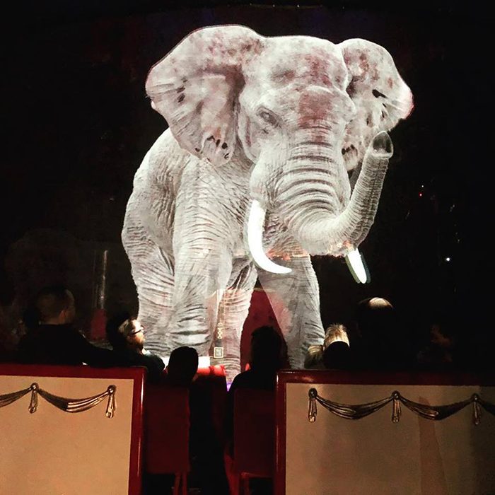 Немецкий цирк использует голограммы вместо слонов