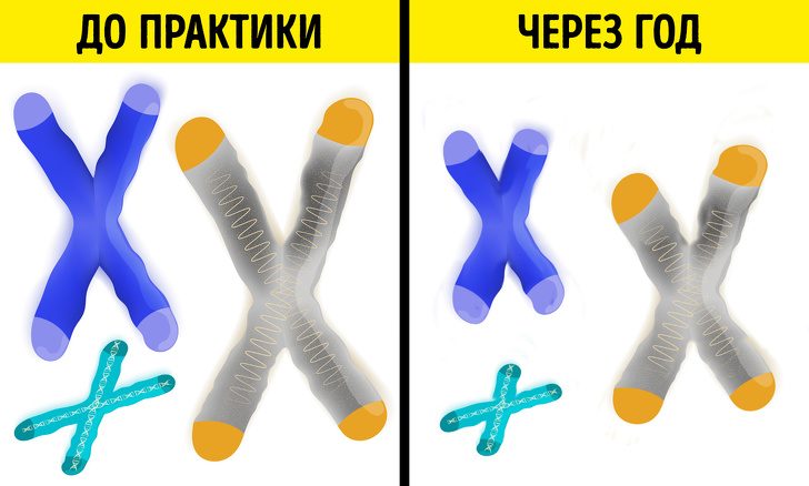 12 сенсационных фактов о нашем здоровье