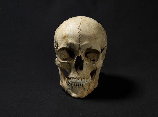 Учёному удалось восстановить внешность человека, жившего 1300 лет назад