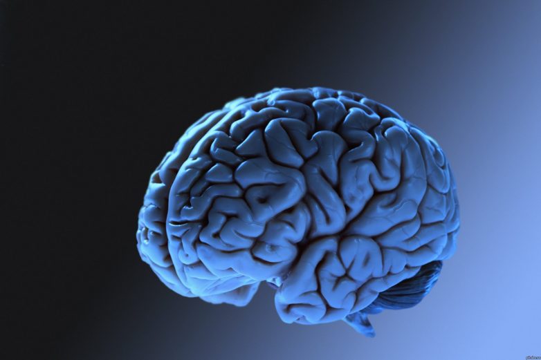 Ещё 15 поразительных фактов о мозге и мышлении