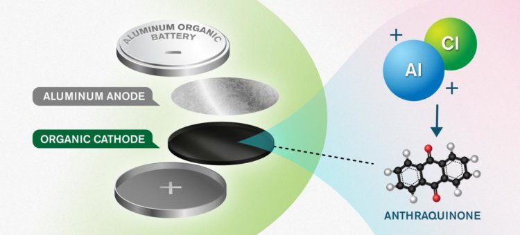 Учёные придумали батарейки нового типа, которые не вредят окружающей среде