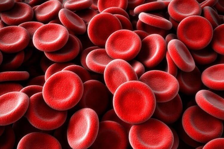 Прорыв в медицине: японские учёные создали искусственную кровь