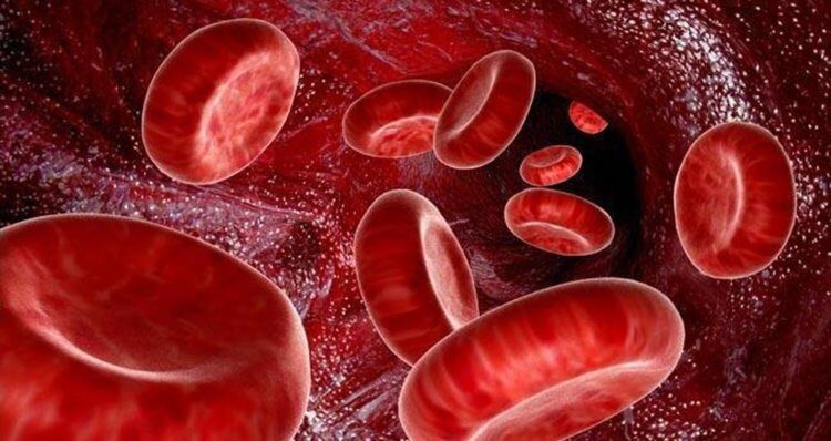 Может ли группа крови влиять на характер человека?