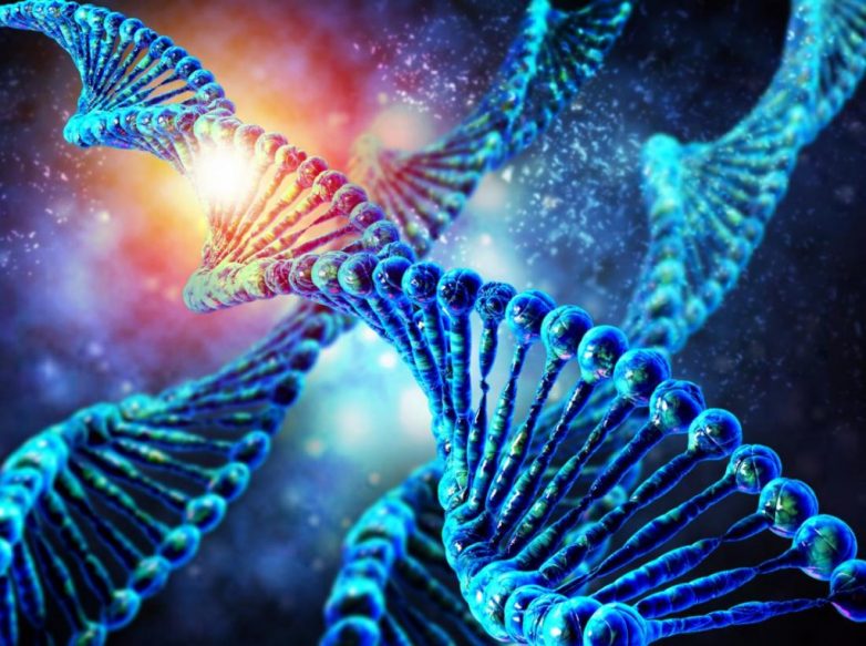 Генетика: мифы и факты