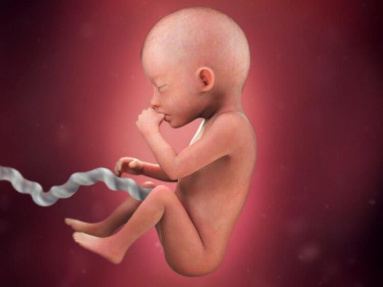 Что видит ребёнок, когда находится в утробе матери?