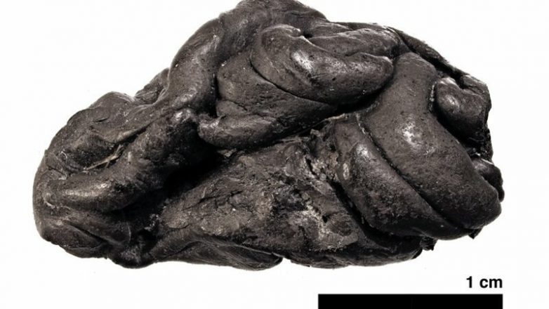 Учёные восстановили лицо девочки, жившей 6000 лет назад, благодаря «жевательной резинке»
