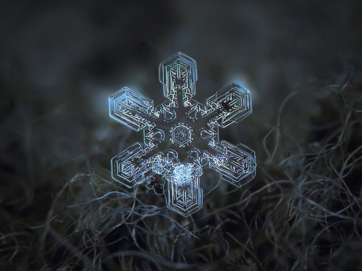 Удивительный микромир: как выглядят снежинки под микроскопом