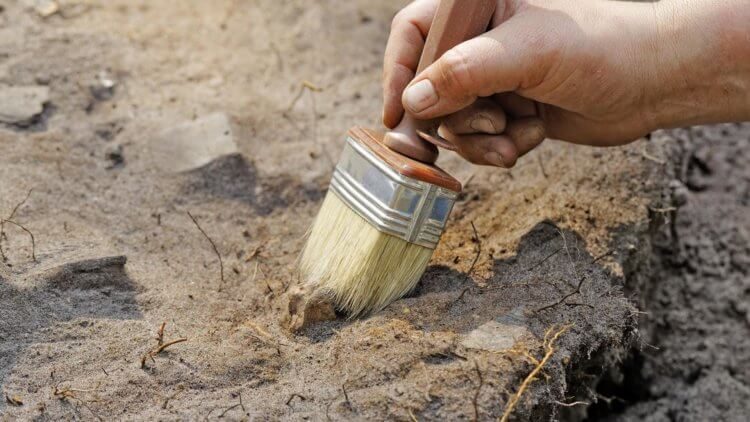 Археологи нашли самый древний деревянный рукотворный объект