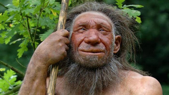 О дайверах-неандертальцах