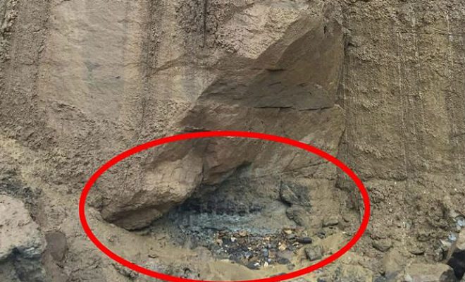 В отколовшейся скале случайно обнаружен окаменевший динозавр